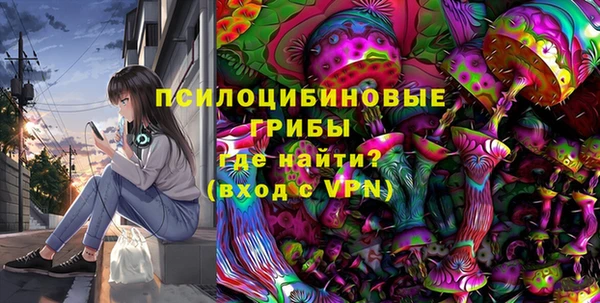 крисы Армянск