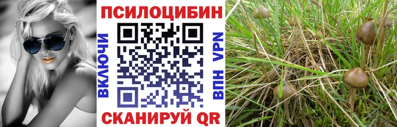 где продают   Себеж  Галлюциногенные грибы GOLDEN TEACHER 
